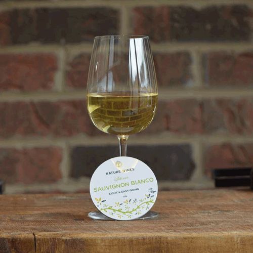 Sauvignon Bianco - White Wine